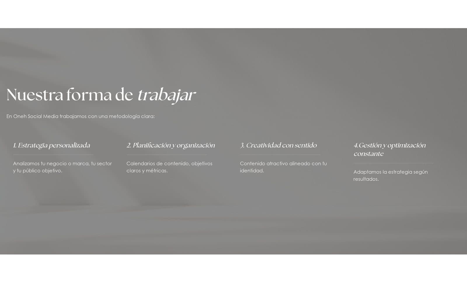 Detalle 1 de la web de Oneh Social Media