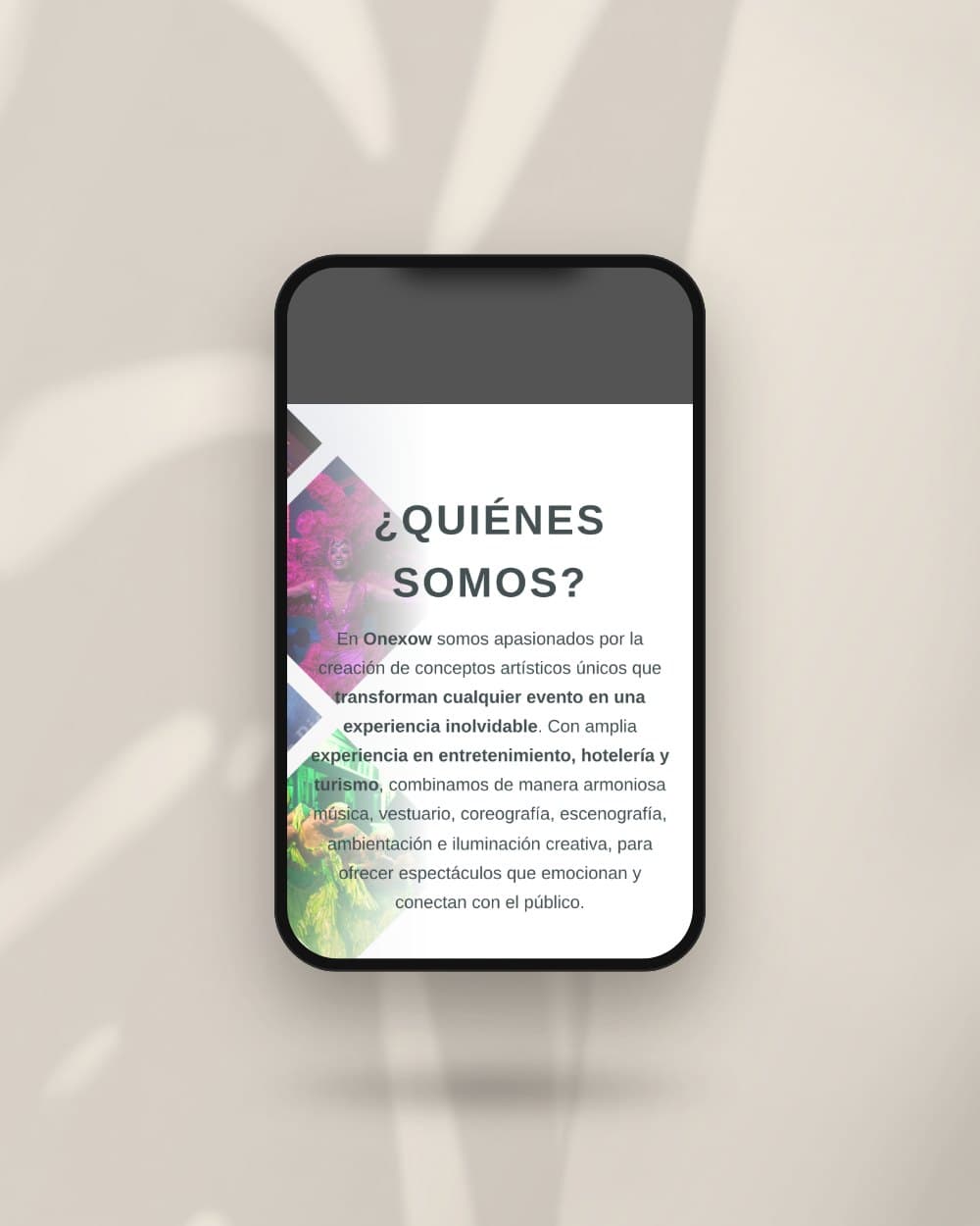 La web de Onexow en un móvil